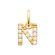 N zirconium pendant 18k gold plate