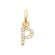 P zirconium pendant 18k gold plate