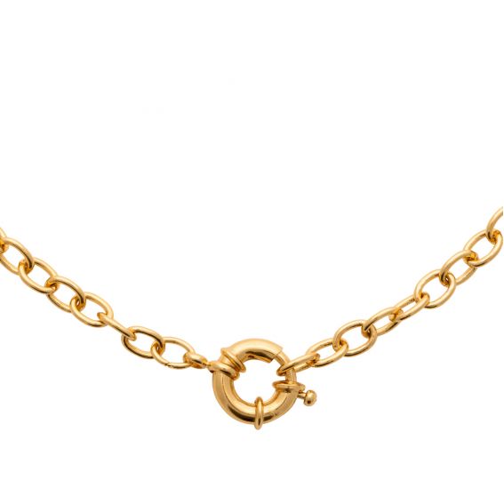 Bijou argent/plaqué or Grote mesh ketting voor dames in goud